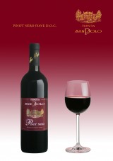PINOT NERO PIAVE D.O.C. An elegant wine, velvety ruby red in colour with garnet glints. Complex bouquet with a pleasant, well-balanced, savoury flavour. Recommended with roasted or braised meat, meat stews with mushrooms, as well as ripe cheeses.  Serve at a temperature of 18-20° C.