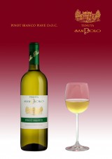 PINOT BIANCO PIAVE D.O.C. A wine which effuses an aroma of ripe fruit; its taste is as rich, majestic and extraordinarily fine like the land that created it. Recommended with all light, low-fat starters, pasta with sauce and in broth, as well as fish dishes.  Serve at a temperature of 10-12° C.