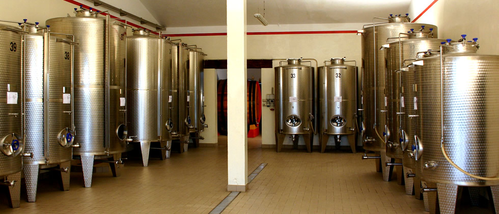 Tenuta San Paolo - La cantina