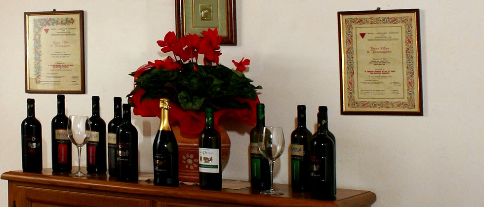 Tenuta San Paolo - Awards and recognition